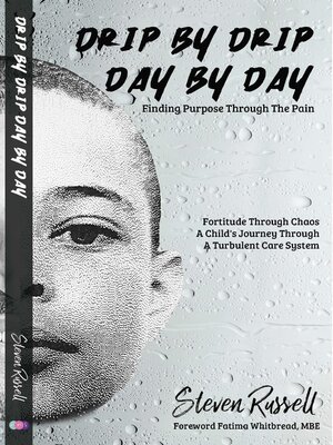 cover image of Drip by Drip Day by Day